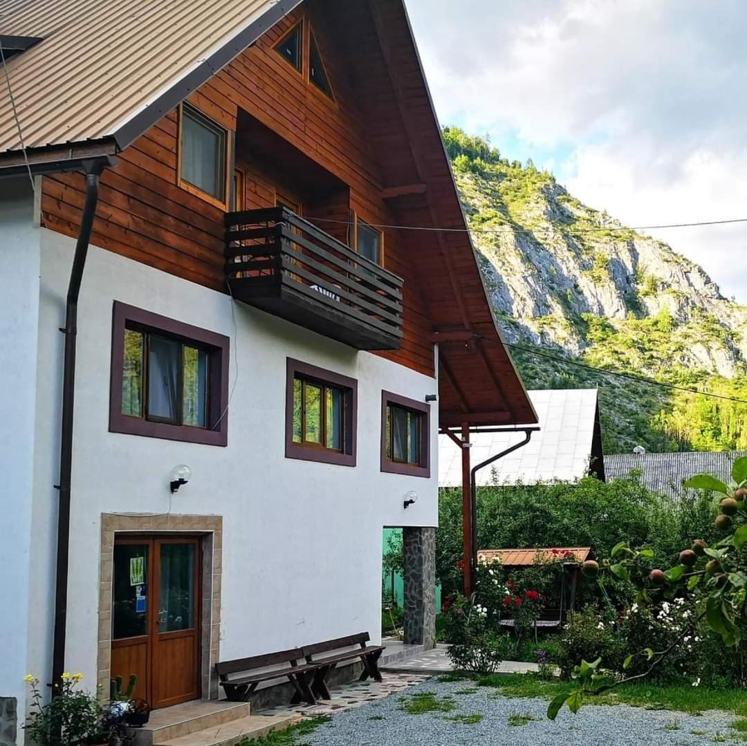 Pensiunea Piatra Mandrutului Scarisoara  Exterior photo