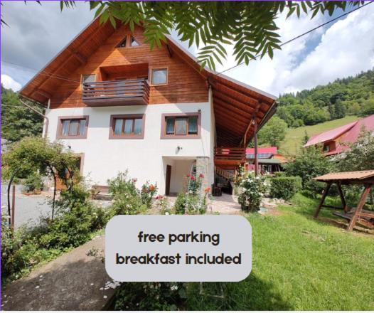 Pensiunea Piatra Mandrutului Scarisoara  Exterior photo