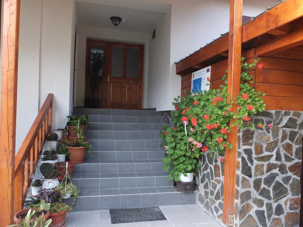 Pensiunea Piatra Mandrutului Scarisoara  Exterior photo