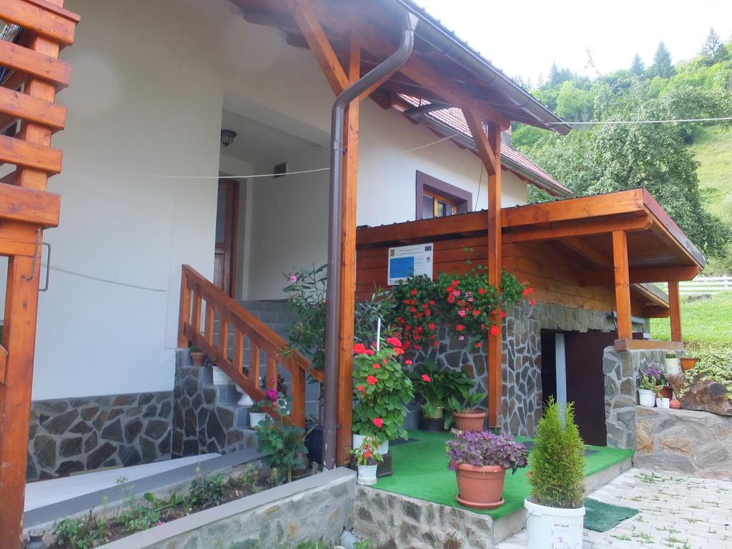 Pensiunea Piatra Mandrutului Scarisoara  Exterior photo