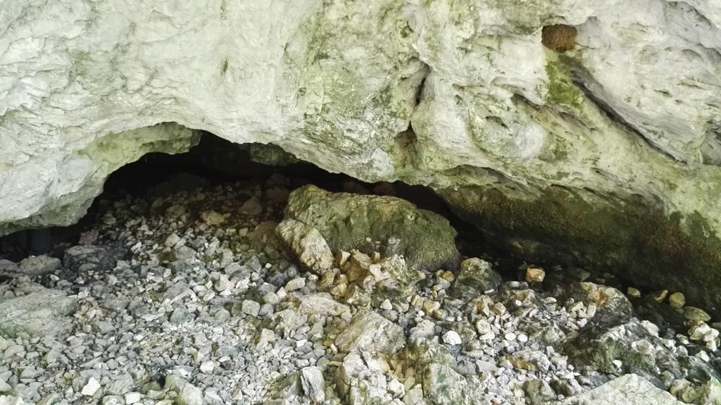 Pensiunea Piatra Mandrutului Scarisoara  Exterior photo